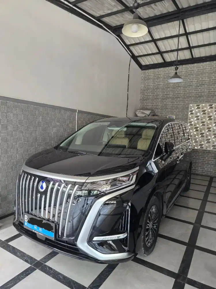 Denza D9 Electric Vehicle
