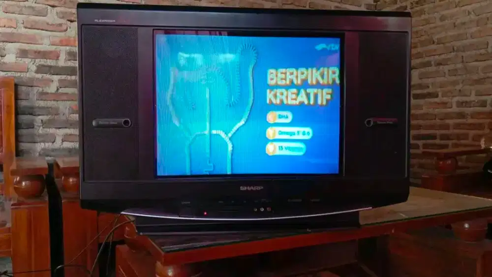 TV SHARP ALEXANDER SLIM 21IN ORI