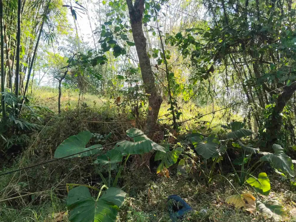Dijual Tanah pinggir jalan