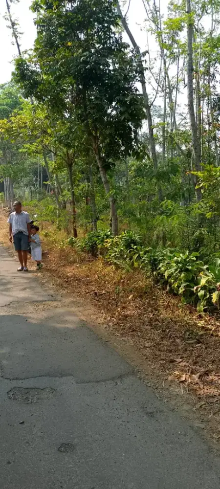 Tanah di jual cepat lokasi masuk mobil di cikalong wetan