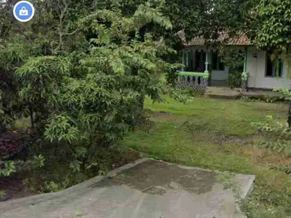 Dijual Tanah di Desa Selareja, Warunggunung, Pandeglang, Banten
