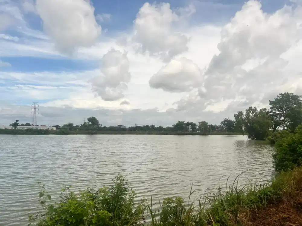 Di Jual Tanah Pertanian