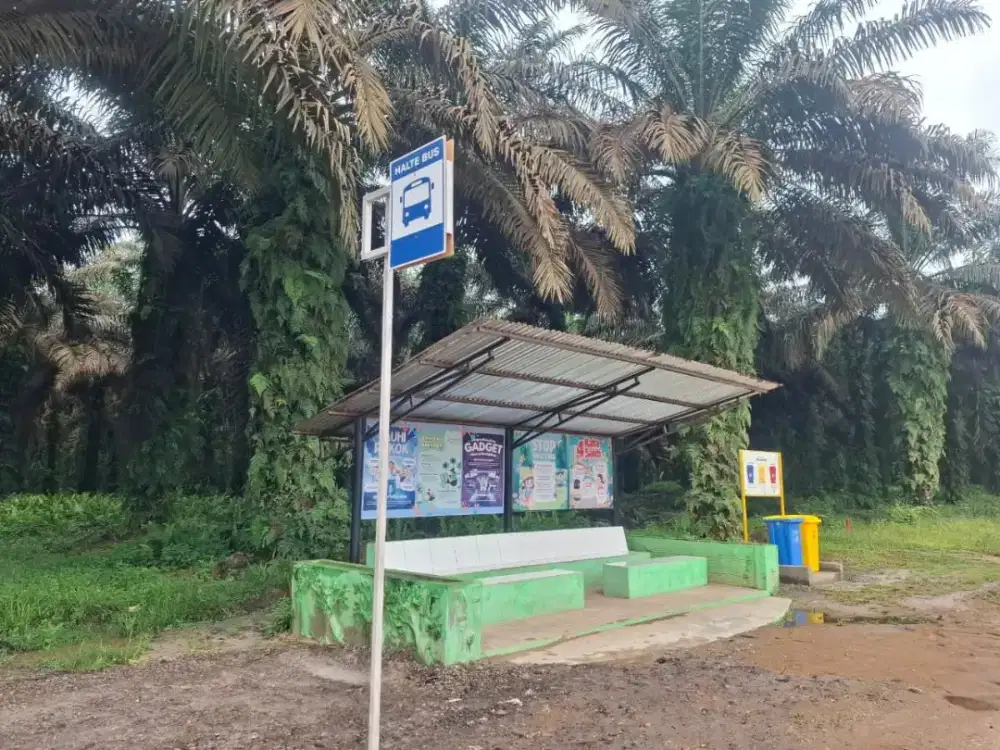 Lowongan Perkebunan  Kelapa Sawit Kalimantan