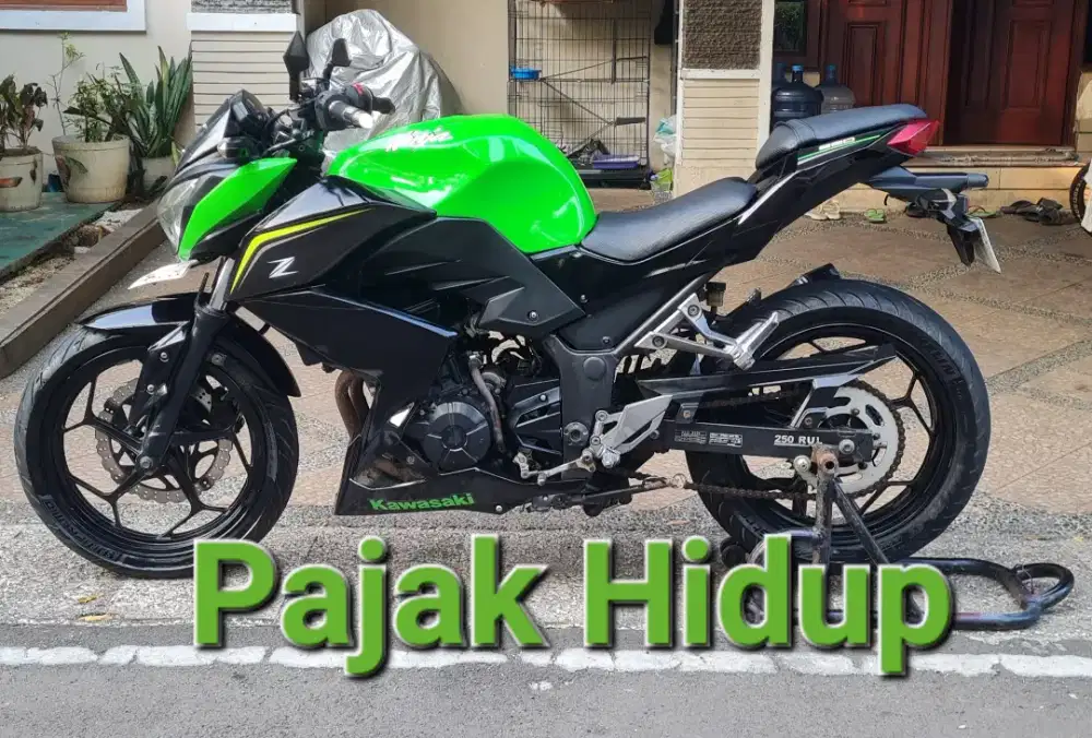 Kawasaki Z250 (2cylinder)
