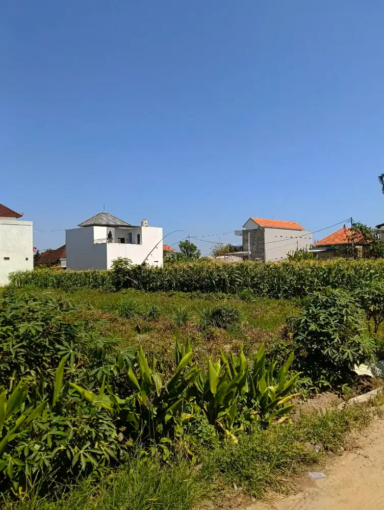 Di sewakan tanah jalan Sedap malam, DPS, Bali