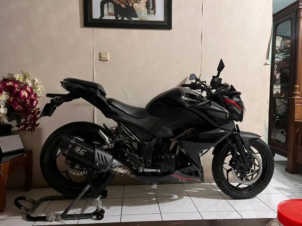 KAWASAKI Z250 2013