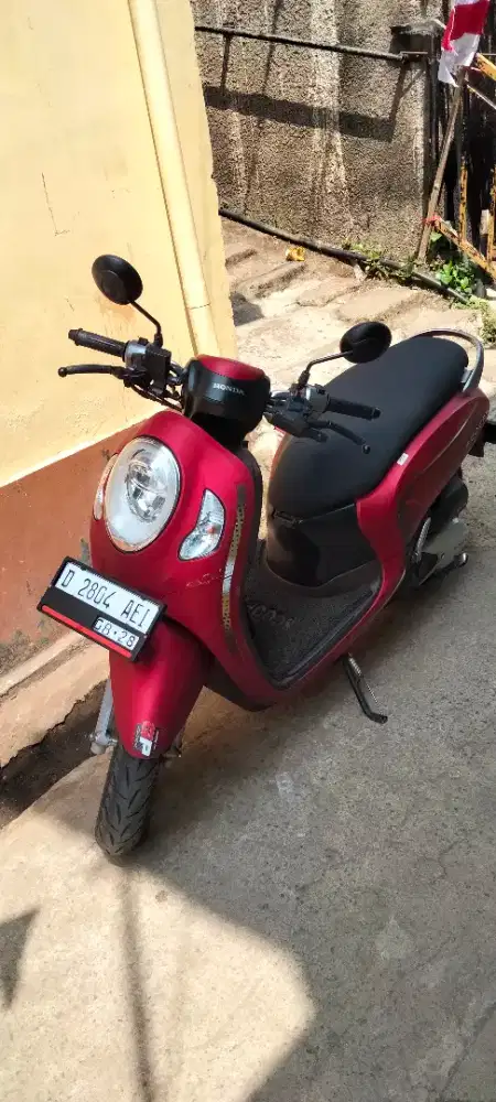 Honda Scoopy kyles