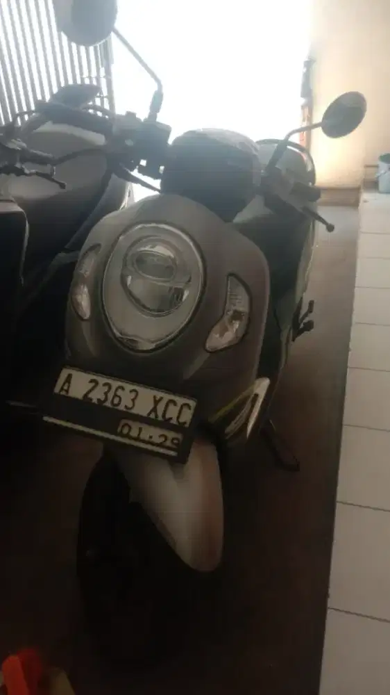 Scoopy Sporty Grey 2024
