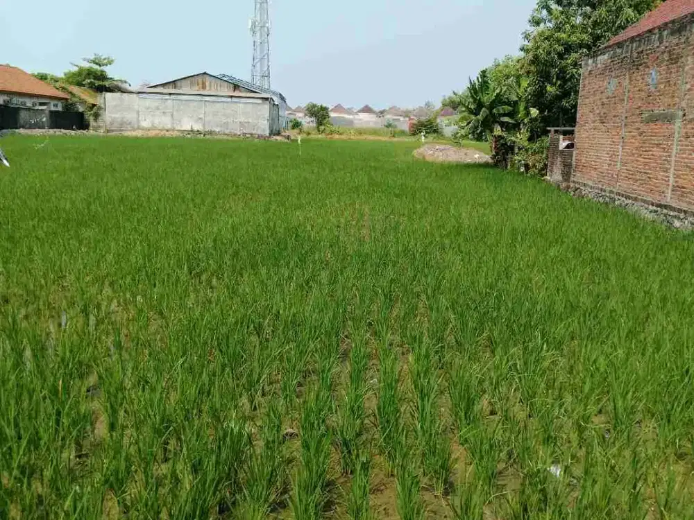 Dijual tanah dekat Lingkar Timur Sidoarjo