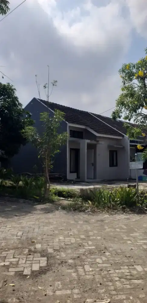 Di jual murah harga di bawah pasar bonus tanah 3x12 nego sampai deal