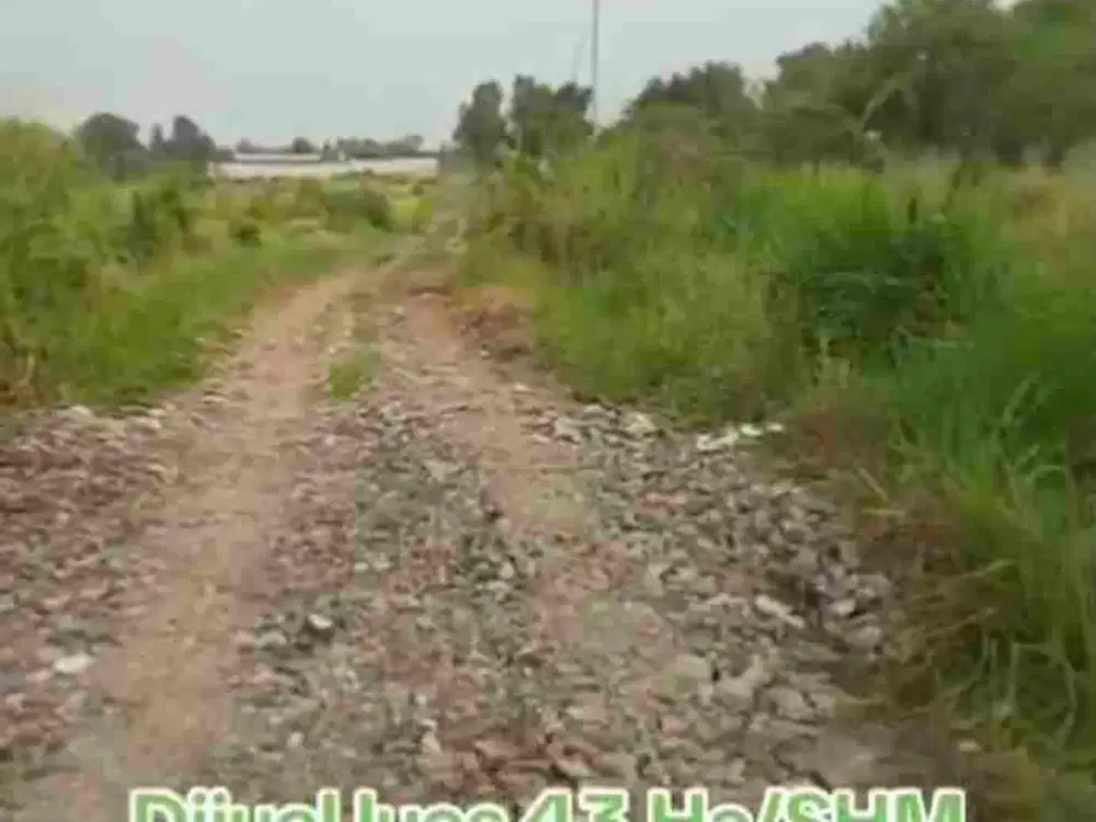 dijual tanah di bantar panjang cileles tgr banten
