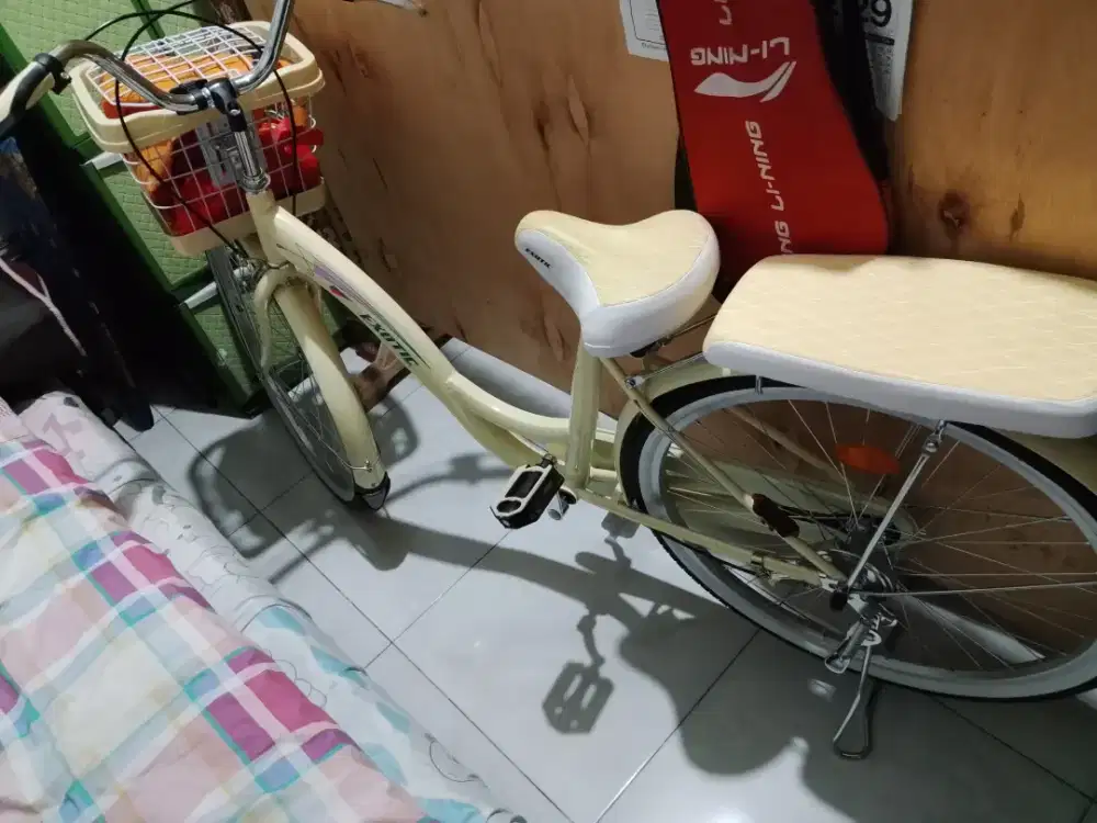 Sepeda keranjang ukuran 26 Exotic