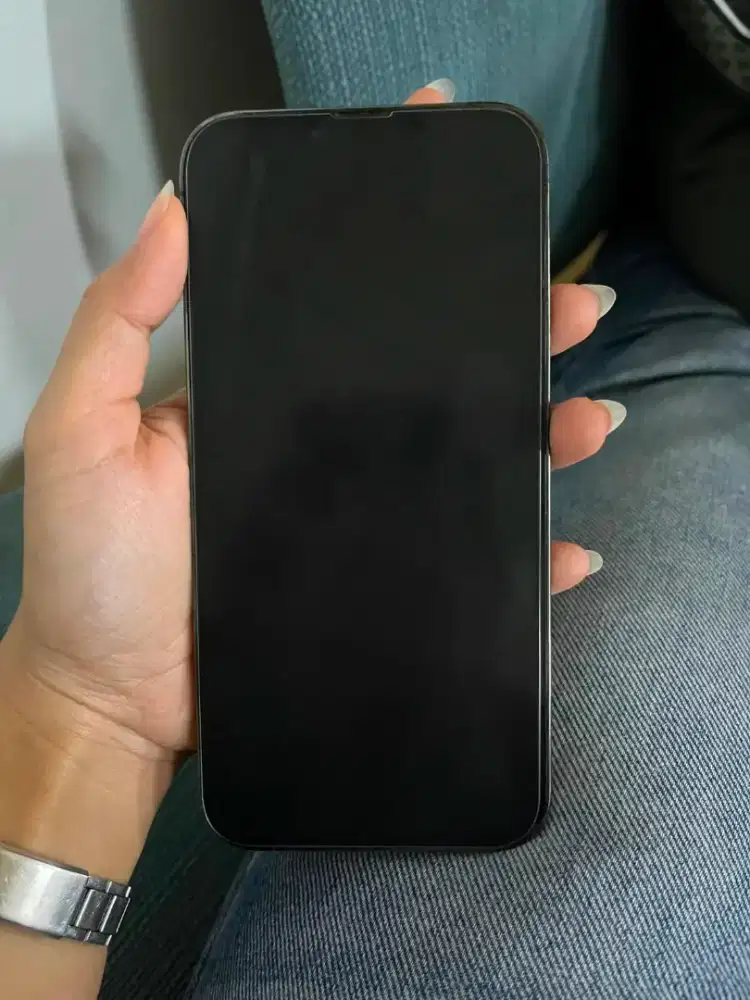 Iphone 13 promax