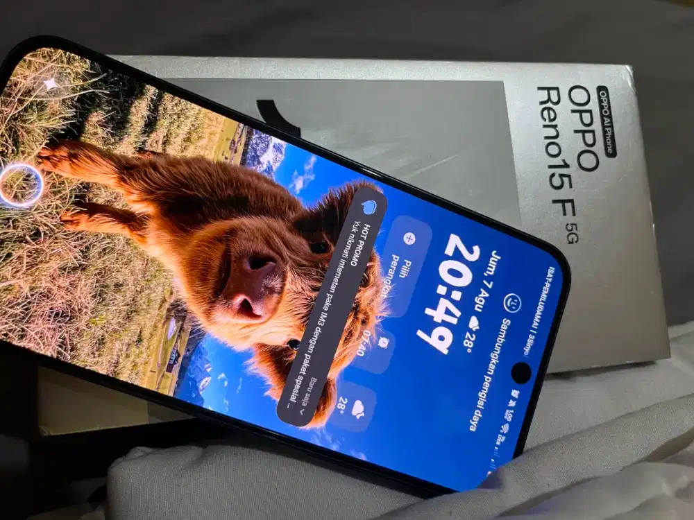 Oppo Reno 15 F 5G
