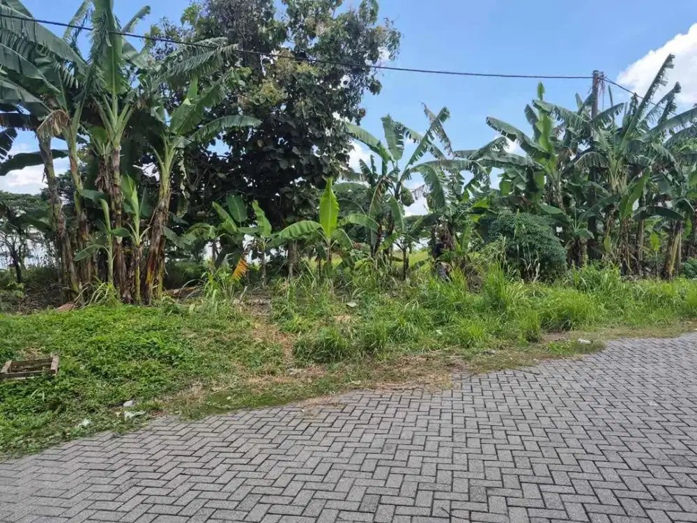 Jual Cepat dan Murah, Kavling di Ready Kota Damai Taman Bunga , Kedamean