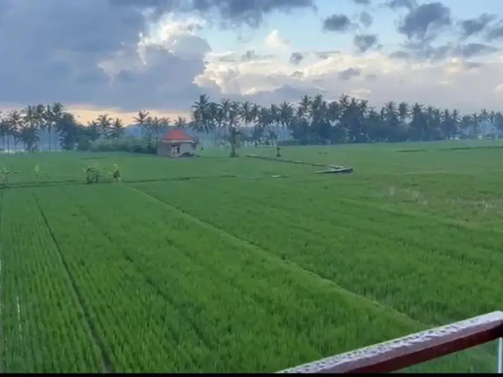 For Sale - Tropical Breeze Villa in Ubud, Bali - Thumbnail 4