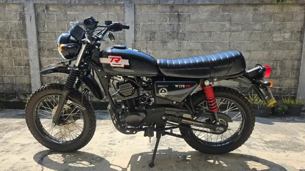 KAWASAKI W175 TR 2024