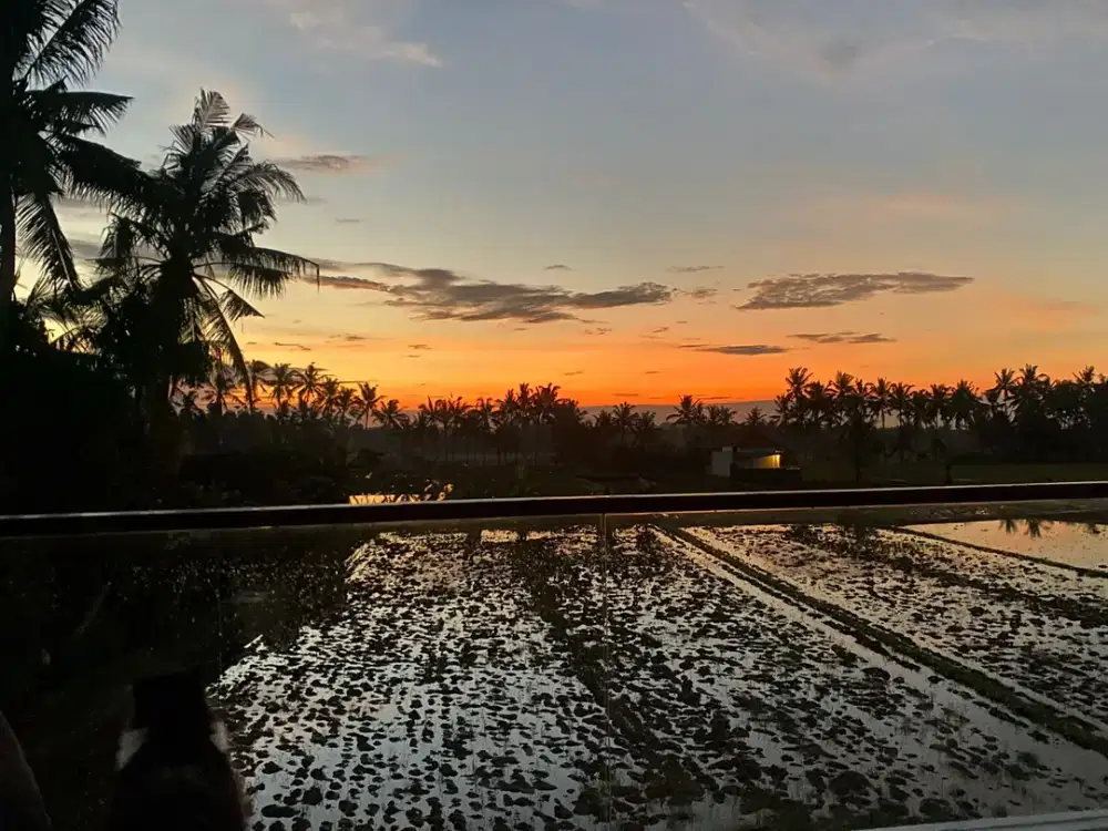 For Sale - Tropical Breeze Villa in Ubud, Bali - Thumbnail 10