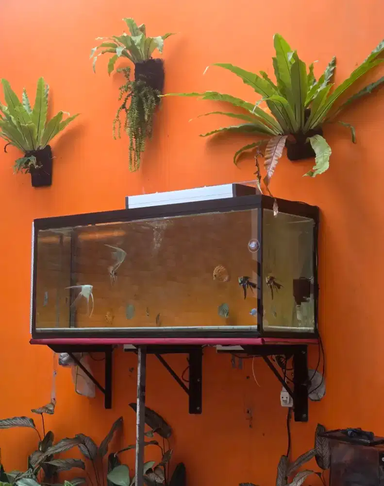 Dijual segera Aquarium  Uk. Besar