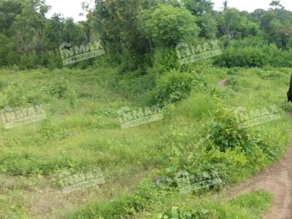 Tanah Luas 1000 Row Jalan 6 m Dekat Pantai Batu Belah & Pantai Amet