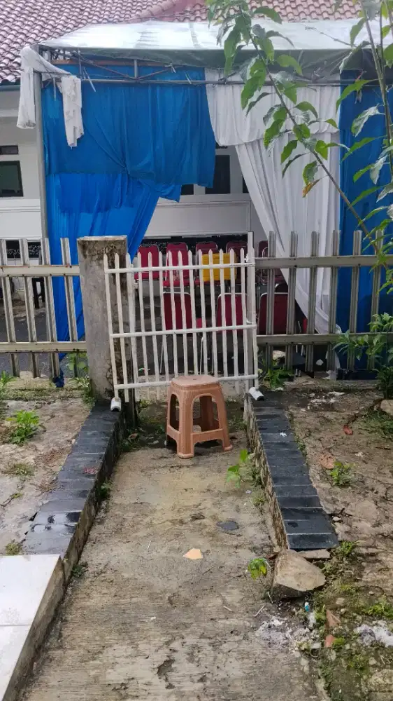 Pagar bambu asli