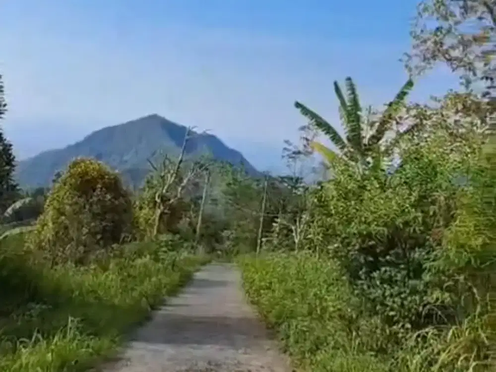 TANAH LUAS DI KAWASAN WISATA BARU BALI UTARA BULELENG