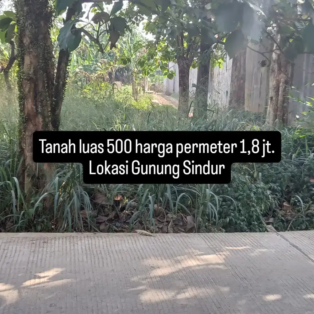 Tanah  cantik buat  usaha dan RM  tinggal  gunung sindur