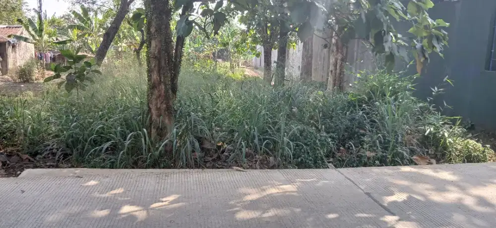Tanah  cantik   buat  usaha  bogor  gunung sindur