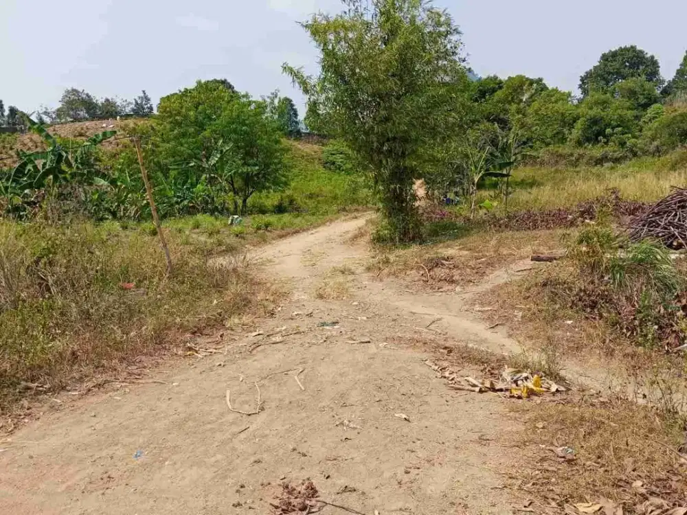 Dijual  cepat  tanah 9000m² dekat Sentul. Kontur berbukit-bukit, terdiri dari kebun, sawah bbrp petak, dan sungai. 
Cocok untuk villa, glamping, dan lain2.