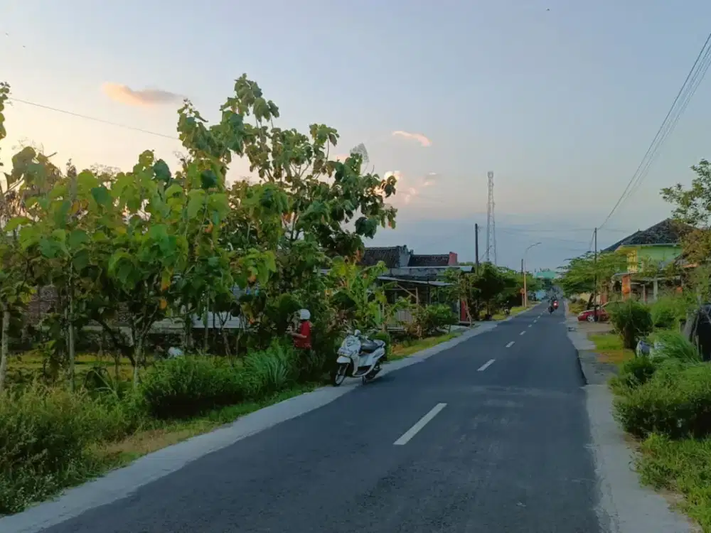 Dijual investasi tanah Full pohon jati di Jl. Sunan Geseng Piyungan Kab. Bantul, Yogyakarta