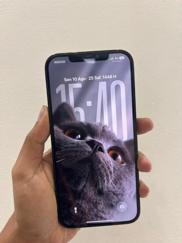Iphone 12 PRO MAX