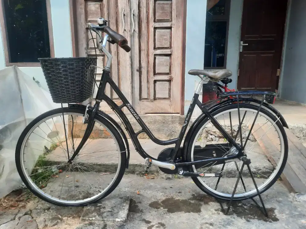 Sepeda polygon genesis hamilton