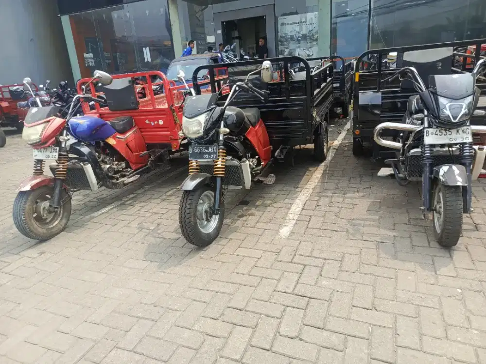 Viar Roda tiga second