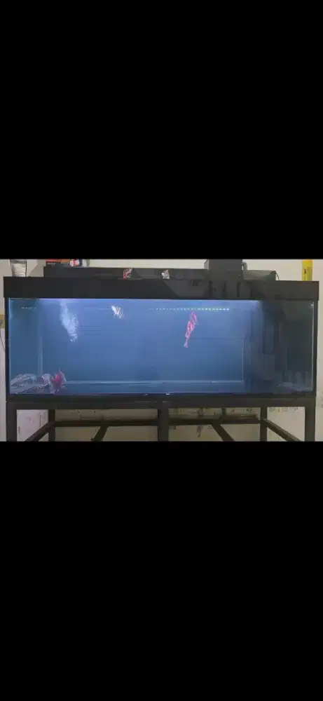 Dijual aquarium 210 x 80 x80 dan ikan