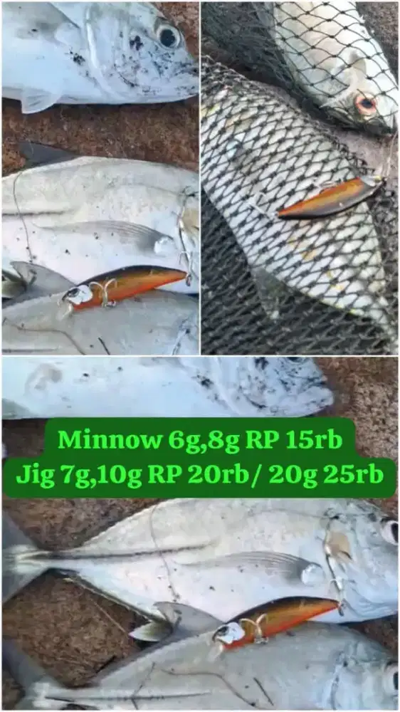 Minow lure Umpan pancing casting Murah