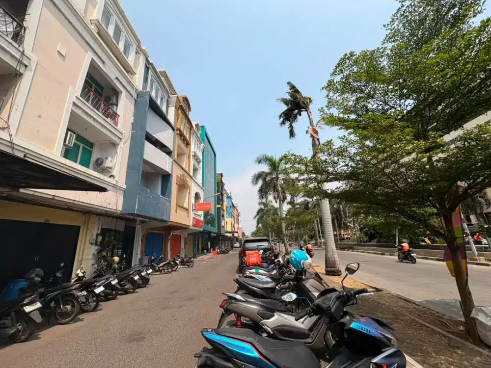 Disewa Ruko Mutiara Taman Palem