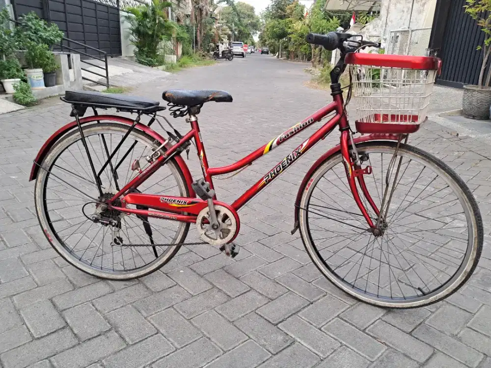 Phoenix Ori Sepeda Keranjang