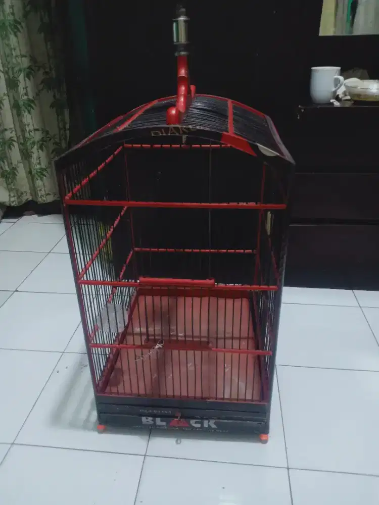 Kandang  masih layak pakai,cocok buat cucak ijo dan kacer
