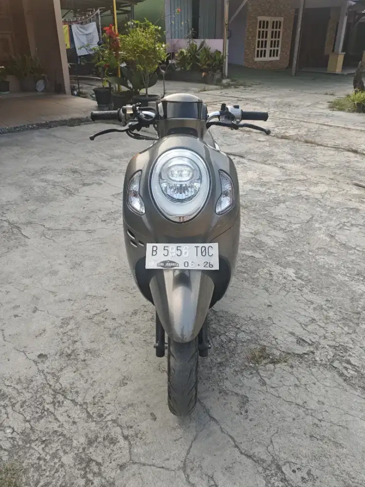 HONDA SCOOPY 2023