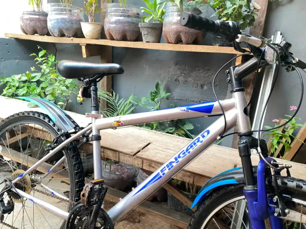 SEPEDA MTB FINGARD