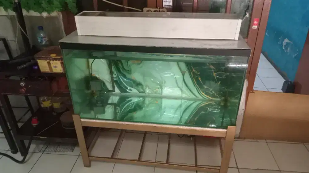 Aquarium ikan panjang 100 cm lebar 45 cm tinggi 50cm