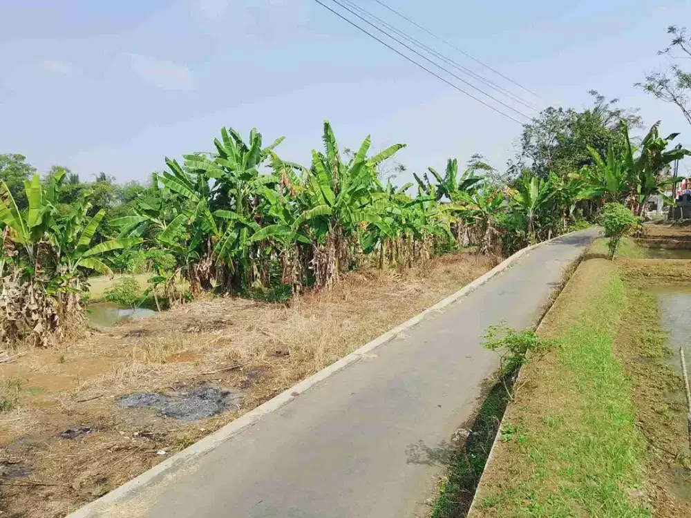 DI JUAL TANAH BIBIR JALAN