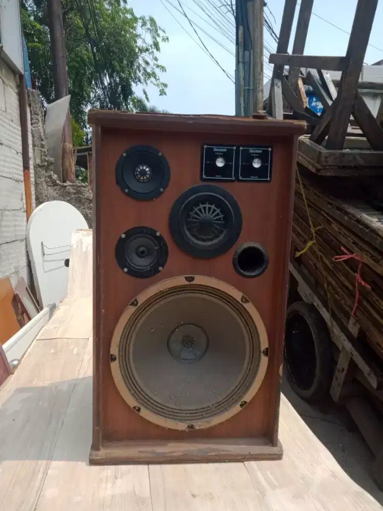 Sepeker skuadron 12 inch