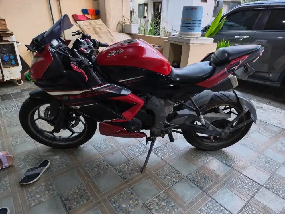 Ninja 250 SL / Mono