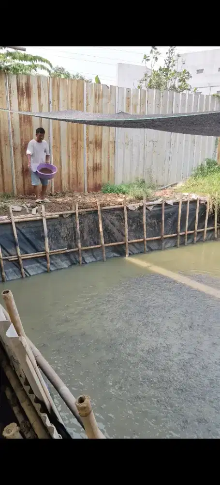 Di Butuhkan PETANI LELE