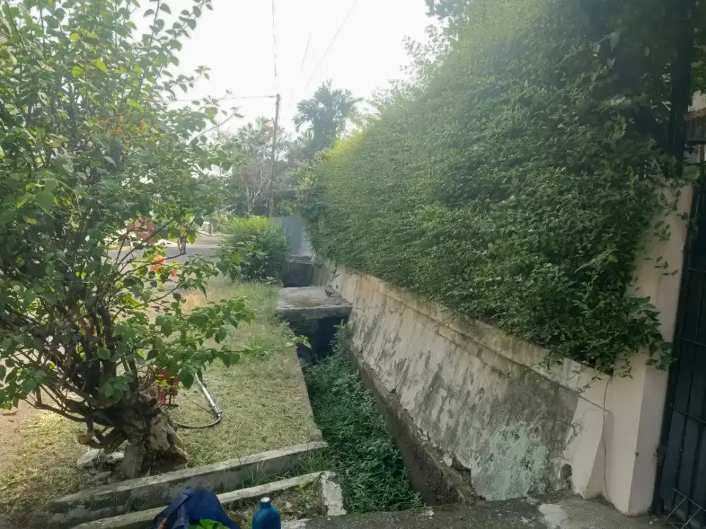 Jasa potong rumput dan perawatan tanaman