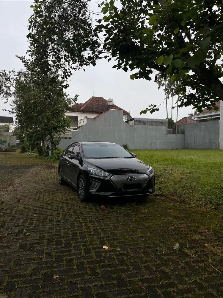 Ioniq Electric Signature 2021