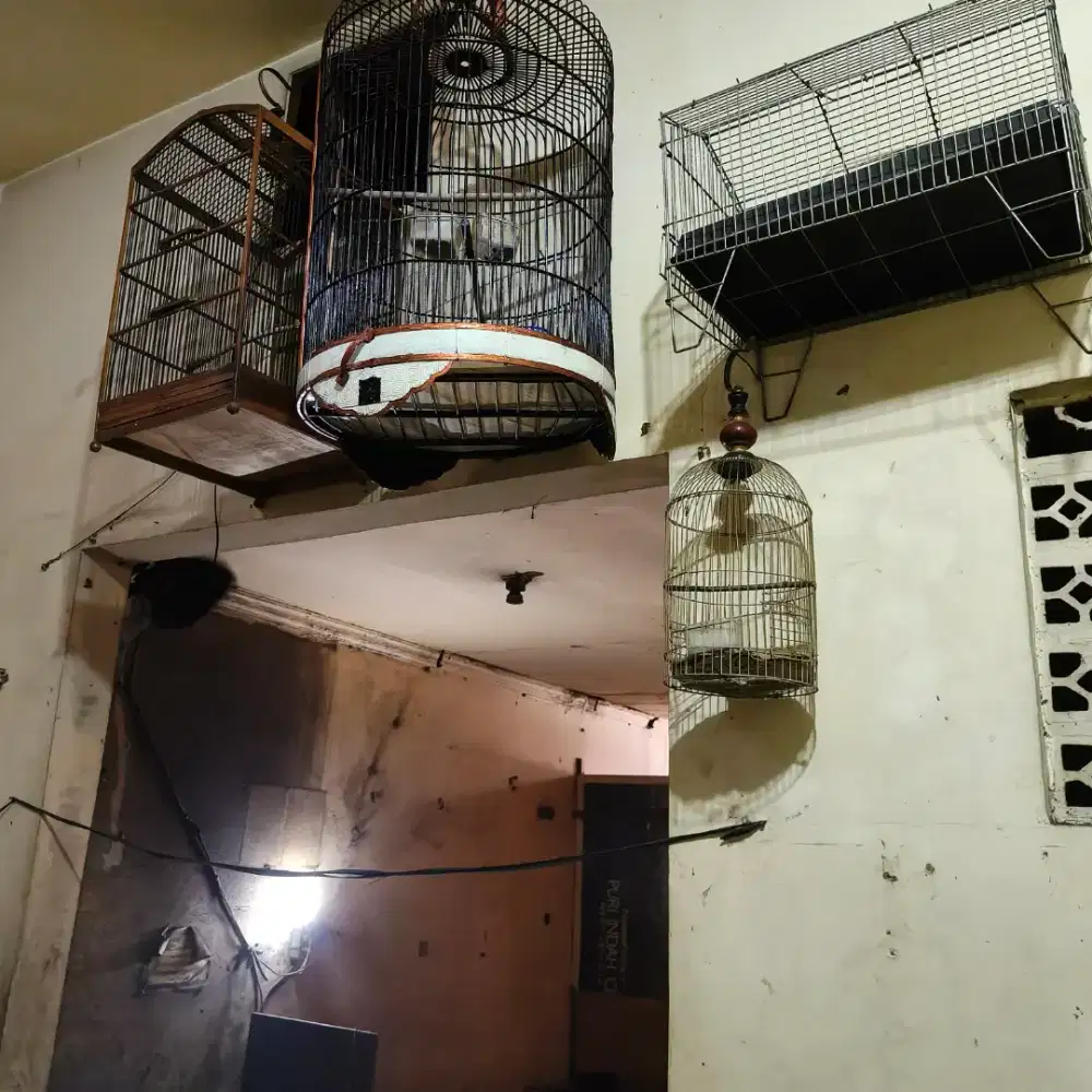 Jual cepat borongan kandang burung itu ada 4 unit