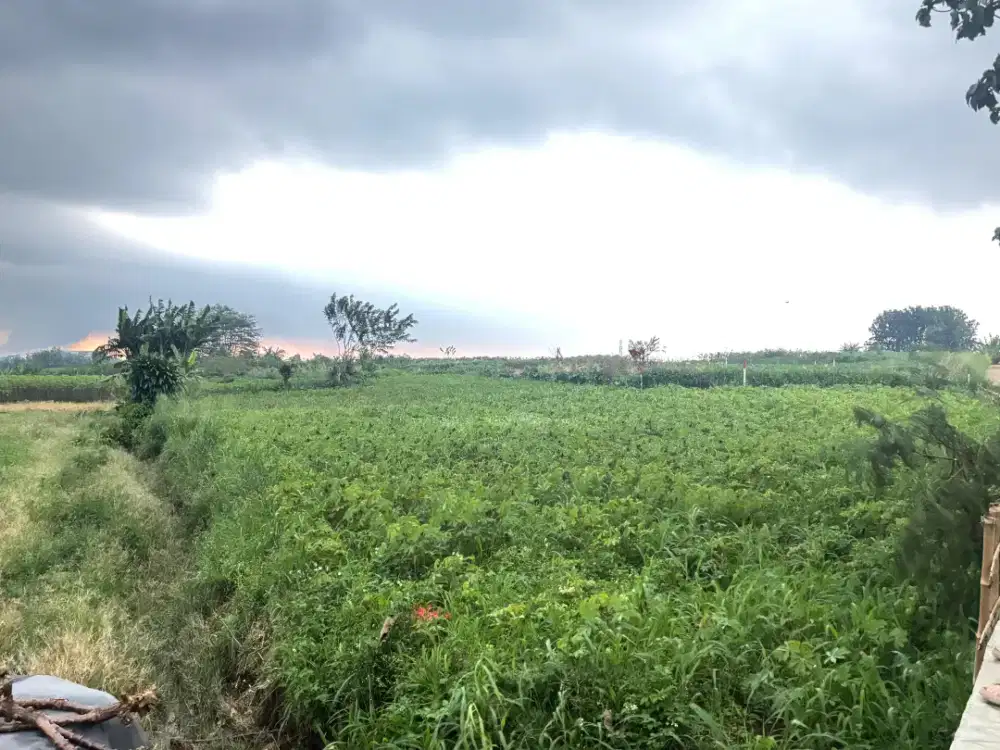 Bismillah Dijual Tanah Milik Sendiri