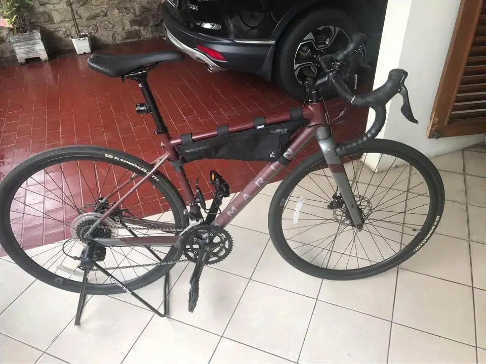 WTS Marin Gestalt 1 (2021)